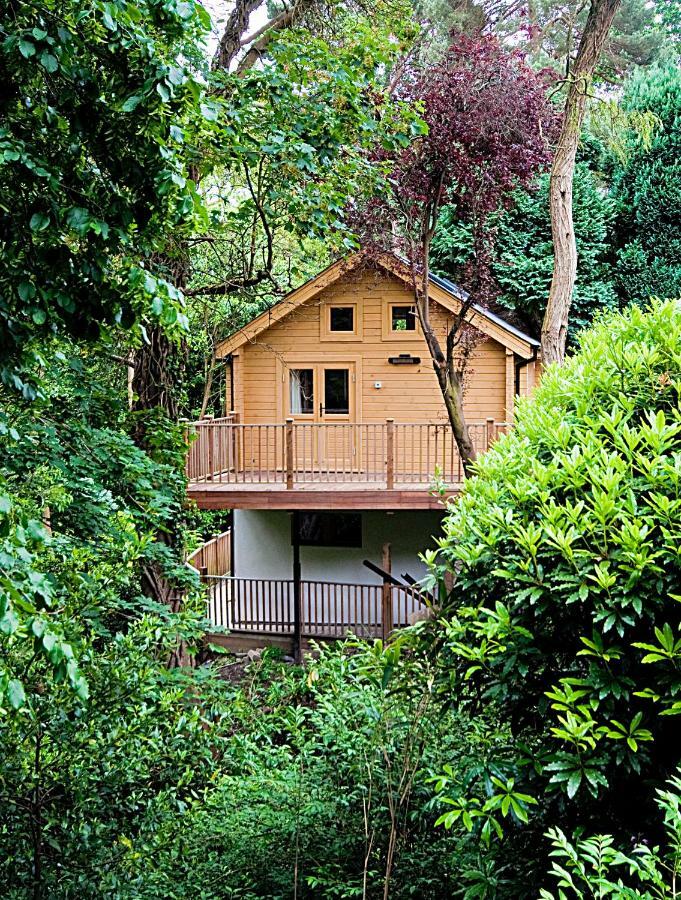 Alum Chine Log Cabin Βίλα Μπόρνμουθ Εξωτερικό φωτογραφία